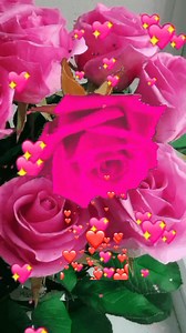 #playlist #LAYOUTS 🩷 | Maria Rosa