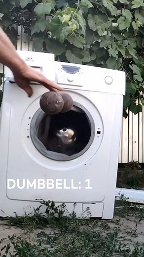 107K views · 122 reactions | throwing a dumbbell into a washing machine, in the name of science, of course  #reels #science #experiments #washingmachine #dumbbells #chores | In The Know | Facebook