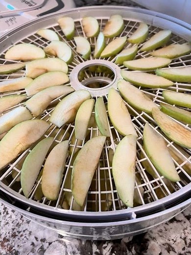 Dehydrating Apple Slices Using a Dehydrator #dehydrating #apples #dryingfood #selfsufficiency