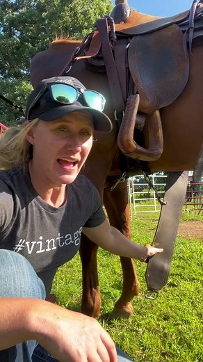 Do you use a back cinch? #horse #horses #fyp #fypシ #education #educational #educationalpurposes #educateyourself #horseeducation #horsebeginner #beginnerequestrian #horsebasics #heretohelp #beginners #beginner #beginnerequestriantips #beginnerhorserider #newbie #newbiehorse #newbiehorserider #learn #learnontiktok #learning #learninghorse #learninghorses #learninghorseriding #learninghorseythings #learninghorsesneverends #learninghorsesneverends #learninghorsebackriding #learninghorsemanship #far