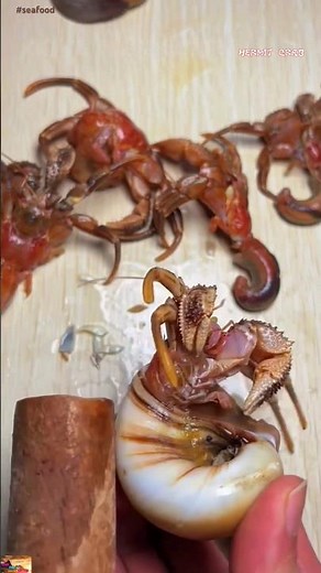 🦀 Hermit Crab Shell Removing Amazing Process