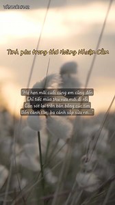 270K views · 5.7K reactions | Văn nói số 142: Tình yêu trong thơ Hoàng Nhuận Cầm #colinhgiaotiepnguvan #vannoi #batbeatdayvan | Cô LINH VĂN | Facebook