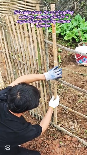 How to Build a Sustainable Bamboo Garden Fence | DIY Eco-Friendly Farming