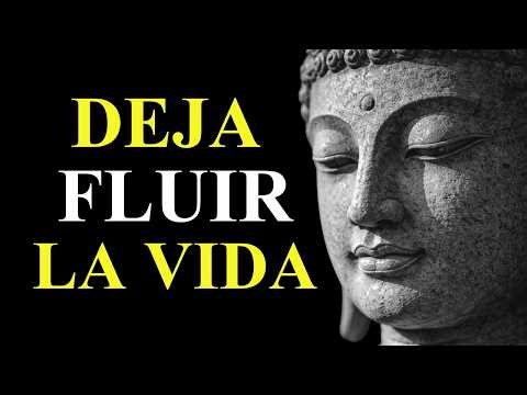 (SIN ANUNCIOS) “La Necesidad De Control Te Hace Perder La Paz” | Enseñanzas Budistas
