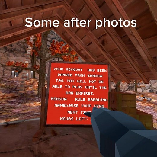 How to get Banned in Project Shadow Gtag Fan Game #oculus