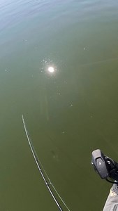 MONSTER FISH eats BOATSIDE!!! 🤯🤯🤯 This unbelievable strike by a Northern Pike occurred at @brabantlodgenwt in the far reaches of Canada! Turns out, it wasn’t the only big fish lurking nearby! At, Brabant its not uncommon to doubled up on monsters! The rod used in this video is the @tackle_industries 9ft two piece rod, now back in stock!!! // #pike #musky #pikefishing #muskyfishing #northernpike #esox #predatorfishing #pesca #fiske #bassfishing #bigbass #giantbass #fishing #pondfishing #fishon