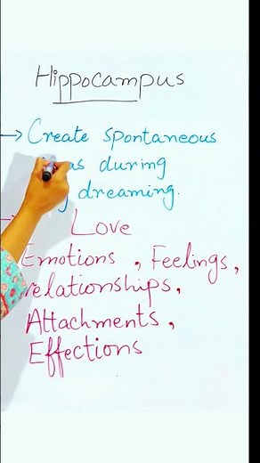 Hippocampus Function | Meaning | Definition | Parts | Brain