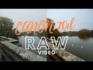 canon 70d raw video magic lantern | Raw Video on a Budget