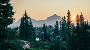 Group Poop: How to Dig a Latrine to Dispose of Human Waste in a Large Group - Leave No Trace