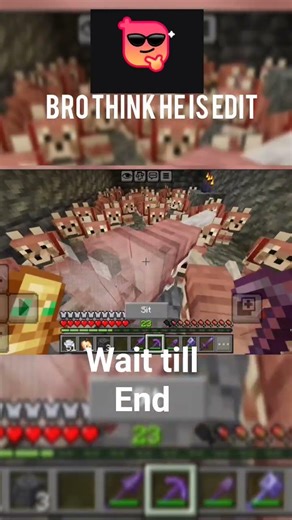 100 dogs vs 1000 mobs in Minecraft 😭