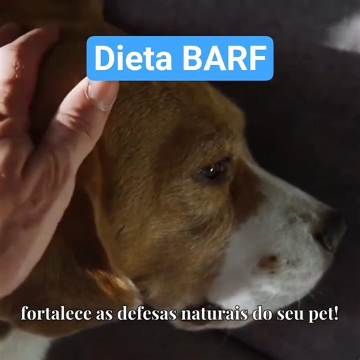 Alimentação Natural. A dieta BARF para seu pet.