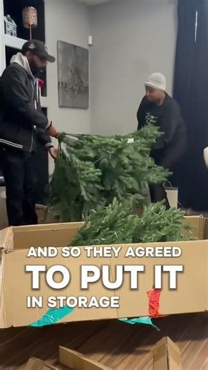 Alexa Enabled Christmas Tree #newyear2026 #founditonamazon