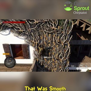 28K views · 138 reactions | That Was Smooth | GameSprout | Facebook