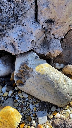 72K views · 706 reactions | looking for natural stones at gold mining sites #gemstones #agate #diamond #jade #petrifiedwood #fyp | Gemstone Explorers | Facebook