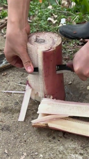 Home-Grown Veggie Success: Grow Your Own Fresh Produce