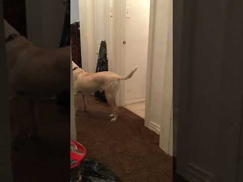 Disrespectful kid doesn’t want a shower part 2