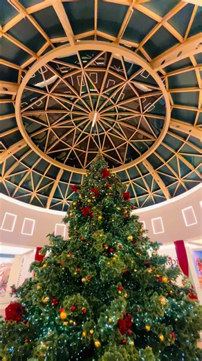 Tori Tours on Instagram: "Shop local this holiday season!! 🎁 Christmas is only a few days away, so no more time to order online! This is the perfect moment to shop local and support small businesses during this gifting season. Be sure to visit a few of my favorite businesses for spa certificates, eagles gear, personalize gifting, and gift cards! 🎄 Support local businesses: @sanctuary_blu @curederepos @ardmore_corkandcandles @matines_cafe @nrsboutique @takeawhiffd @dibrunobros @mainsqueezephill