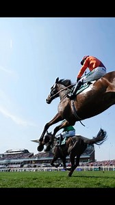 We caught up with Exeter University Racing Society to see what was their favourite thing about the Racecourse. Here’s what they had to say… | Exeter Racecourse