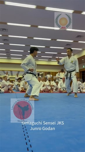 Yamaguchi Sensei JKS Junro Godan FULL. With Toyama Sensei JKS international Seminar 2025 | Limerick Shotokan Karate Club