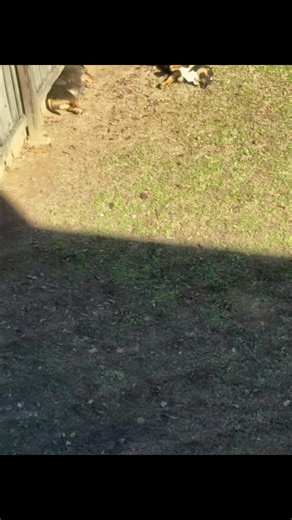 Enjoying Sunbathing Before the Rain