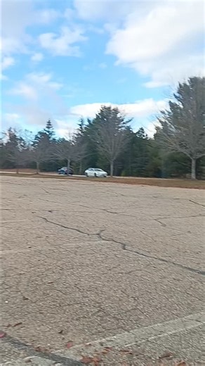 Fall clean-up #Fail | Kevin Michael Allan