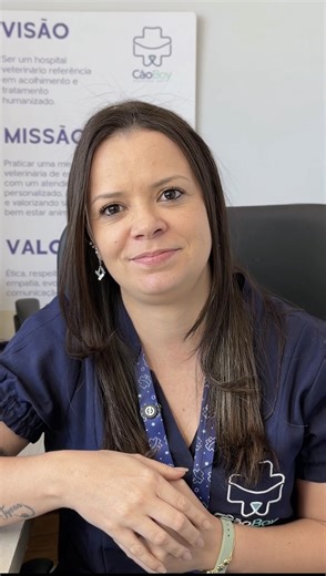 Cãoboy | Hospital Veterinário on Instagram: "Você sabia que cães e gatos também precisam de cuidados especializados com a saúde dos rins? A nefrologia veterinária é a área responsável por diagnosticar, tratar e acompanhar doenças renais e do sistema urinário, desde alterações leves até quadros mais complexos. O diagnóstico precoce é essencial para evitar a progressão da doença e garantir mais qualidade de vida ao pet, especialmente nos pets idosos. Aqui na CãoBoy, oferecemos essa especialidade