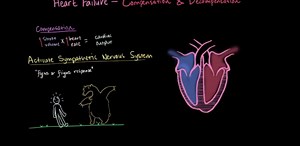 Compensation and decompensation in heart failure