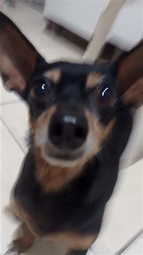 29 de janeiro de 2026