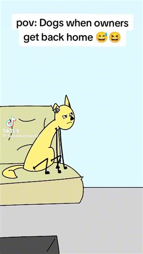 This is exactly how dogs react! lol #funny