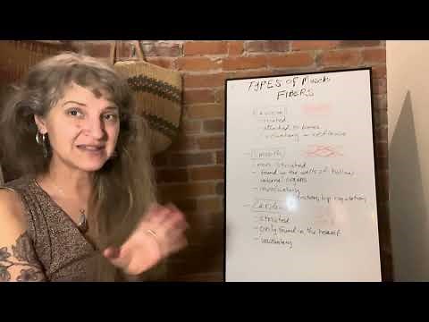 MBLEx Kinesiology Breakdown – Part 1 | Essential Knowledge for Massage Therapists