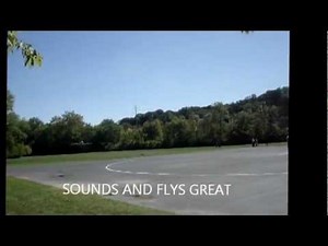 FLIGHT OF THE LOCKHEED P 3 ORION