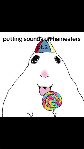 #fyp #viral #hamst #funny #foryou