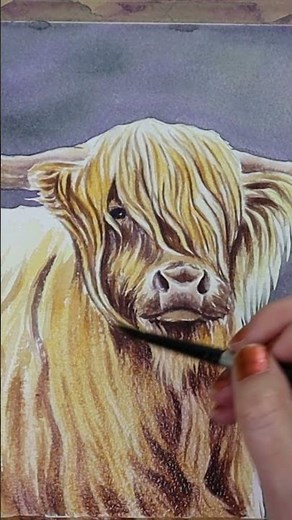 Painting a Highland Cow #shorts #art #watercolor