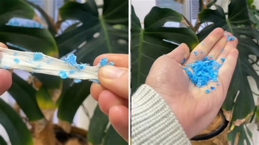 The horrific truth about chewing gum