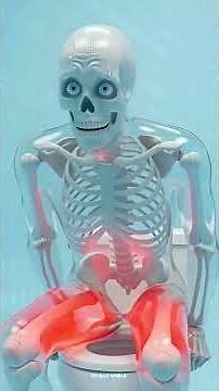 100 squats for 30 Days challange