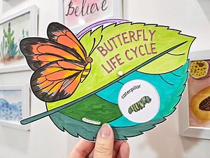 Butterfly Life Cycle Coloring Activity, Wheel and Foldable, Caterpillar, DIY Kids Paper Crafts, Homeschool Science, Butterfly Study Unit - Etsy