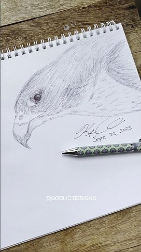 Peregrine falcon #tutorial #drawing #shorts #bird #art #epic