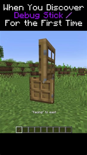 The Debug Stick Is so OP ...💀😈