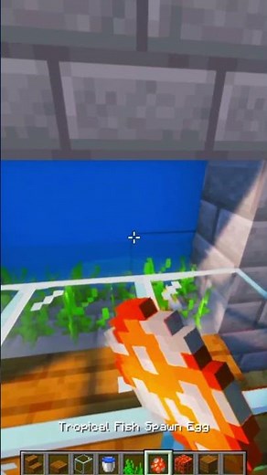 Minecraft Fish Tank 🦈