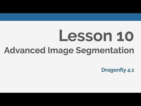 Dragonfly Daily 10 Advanced Image Segmentation in Dragonfly (2020)