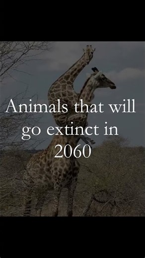 Animals that will go extinct soon