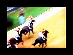 Kentucky Derby 1983 - Sunny's Halo