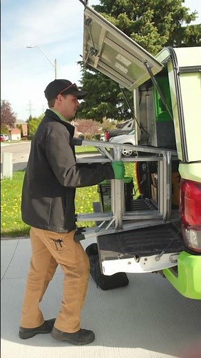 Don't Let Small Pests Become Big Problems! | Skedaddle Pest Control