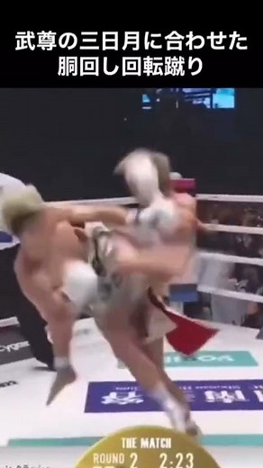 那須川天心vs武尊 胴回し回転蹴り