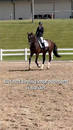 This sport is so mentally challenging but so worth it #equestrianvibes #dressage #equestrian