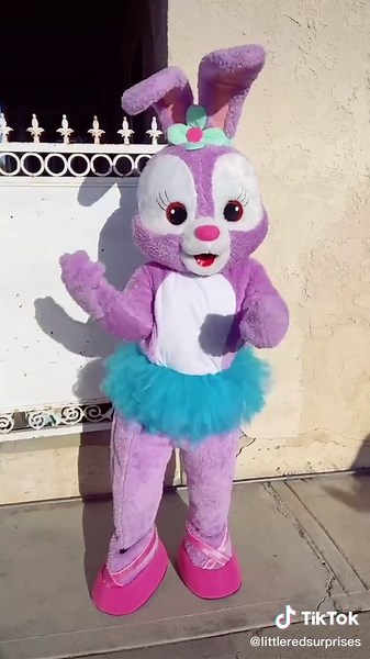 Celebrating Spring with Stella and Friends