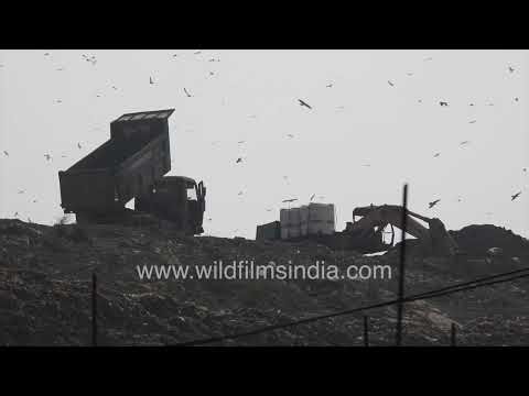 Inside Delhi’s Overflowing Landfill Site