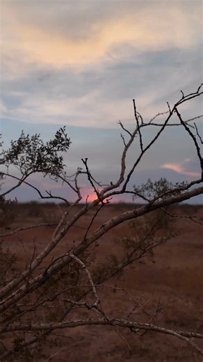 NEW MONTHLY RECORD: 4,399 apprehensions on the southwest border. Plus, ZERO releases for 3 months in a row!! | US Border Patrol