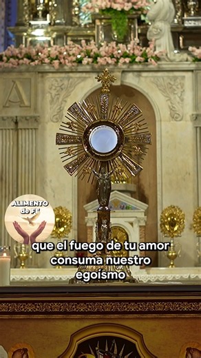 ❤️ Señor JESÚS, HAZ que mi VIDA vuelva a SONREÍR 🙏 #milagros #oraciondelamañana #oraciónmilagrosa
