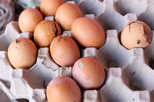 Recognize rotten eggs: How to do it with fresh and boiled eggs - Practical Tips